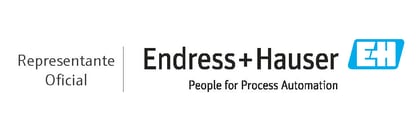 Logo Rep Endress+Hauser
